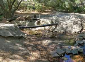 Arroyo Ojo de Agua, major tributary of Redwood Creek, where a pipe crosses it in Stulsaft Park, Redwood City, California