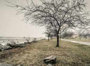 The river was still frozen when this was taken, now a few weeks later it is ice free, normally doesn't happen until late March.
Three shot vertical panorama.

XF: Experimental Fridays