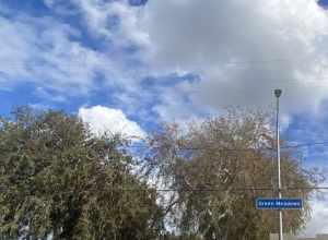 Green Meadows, Los Angeles