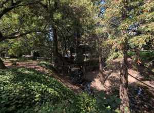 Live Oak Park (park in Berkeley, United States of America)