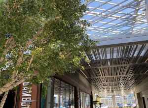 Westfield Valley Fair, San Jose, Silicon Valley