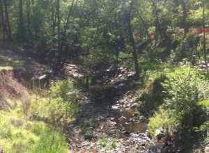 Clear Creek through Northwoods Piedmont Park Atlanta