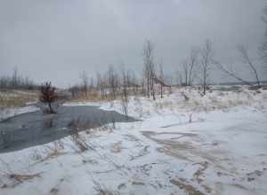 Interdunal pond behind foredunes at Lake Street Beach in Gary Indiana.