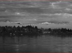 Lingering Fog