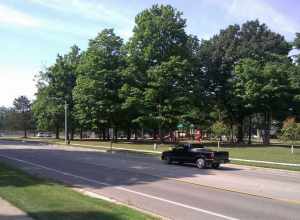 Pinery Park