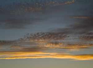SAM_4844