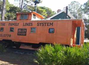 Pinellas County Historical Society's
22nd Annual Pinellas Folk Festival
Heritage Village

11909 125th Street, Largo, FL 33774, US