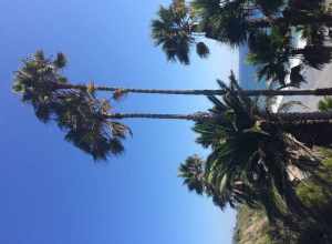 California, USA - September 2016

San Diego in September 2016