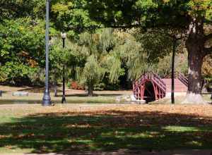 A view looking west in Worcester, Massachusetts' Elm Park with pond and footbridge visible.