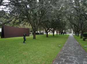 The Nasher Garden at the Nasher Sculpture Center in Dallas, Texas (United States).