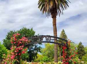 McKinley Park, Sacramento