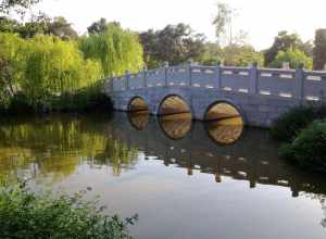 The Chinese Garden at the Huntington Library in Pasadena, California