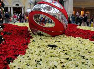 Botanical Gardens, Bellagio Hotel and Casino, Las Vegas, Nevada, USA