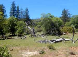 meadow across CA SR 79 from Lake Cuyamaca Restaurant and Store, Julian, California, USA