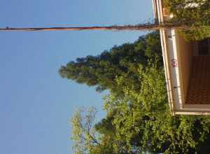 Reynoldstown Historic District, Roughly bounded by the CSX rail line, Memorial Dr., Pearl St., and Moreland Atlanta