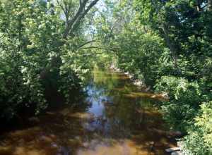 A view of the Menomonee River from the Hoyt Park Footbridge in Wauwatosa, Wisconsin (United States).