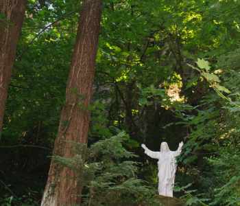 The Grotto is located in eastern Portland, and is intended as a place of reflection and prayer.

There are two areas at the Grotto: the lower area, where one can walk through a sculpture garden themed after the life of Jesus as well as visiting a